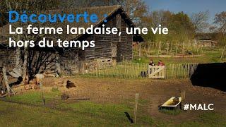 Découverte : la ferme landaise, une vie hors du temps