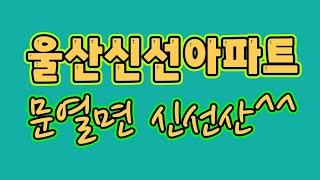 울산남구야음동신선산조망 소형아파트 야음신선아파트