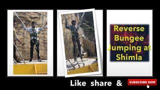 Reverse Bungee Jumping at Shimla /  Shimla tour adventures / Roopavenkat Nature lovers