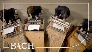 Bach - Concerto in A minor BWV 1065 | Netherlands Bach Society