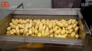 Brush Type Potato Cassava Washing Machine Vegetable Fruit Washing Peeling Machine 800-1000kg/h