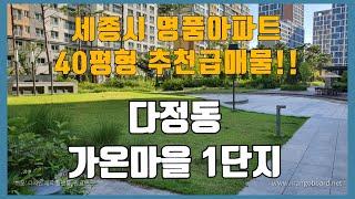 세종시 명품 아파트 40평형 추천급매물 다정동 가온마을 힐스테이트