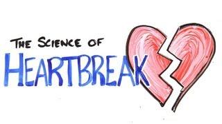 The Science of Heartbreak