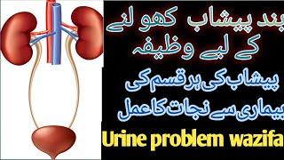 Band peshab ko kholne ka Qurani wazifa||Urine problems wazifa