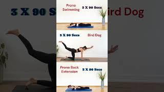 Lower Back - Prone Swimming/Bird Dog/Prone Back Extension  #totalcoreworkout #lowerbackpain