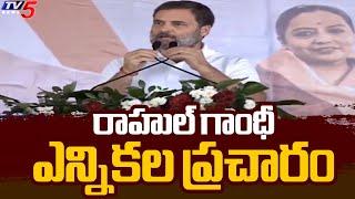 రాహుల్ గాంధీ ఎన్నికల ప్రచారం | Congress Rahul Gandhi Election Campaign In Maharashtra | TV5 News