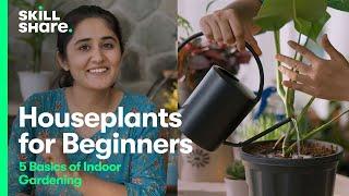 Houseplants for Beginners: 5 Basics for Gardening Indoors