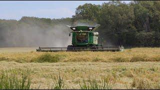 Arkansas County Farm Raises Rice Record