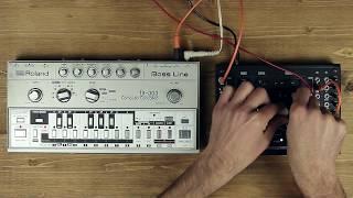 Plankton Electronics Spice + TB-303 (no talking)