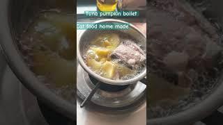 ￼ Cat  special food home-made pumpkin tuna boiled