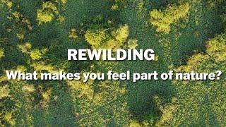 Rewilding – How does it connect you with nature?