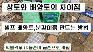 상토와 배양토의 차이점 / 배양토와 분갈이용흙 만드는 방법 (식물키우기: 똥손을 금손으로 만들어드립니다)