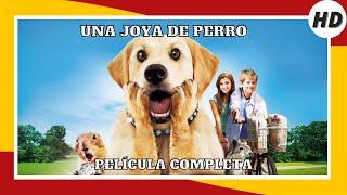 Una joya de perro | HD | Comedia | Película Completa en Español