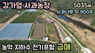 (매물번호12680) 영동부동산 5035㎡(1523) 영동땅 영동토지매매매물 주말농장 싼땅급매 귀농귀촌 농가주택지 시골땅 촌땅 대전토지 보은부동산 청주땅 옥천부동산 1억7천만원