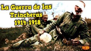 ¿Por qué Perdió Alemania la Primera Guerra Mundial? Frente Occidental 1914-1918 | Ismael López