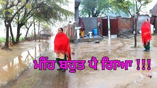 Today Rainy Day In Punjab  Rainy Season Village Life of Punjab India ️ Rural life of Punjab