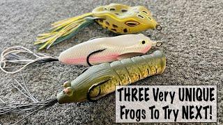 THREE Very UNIQUE Frogs To Try NEXT