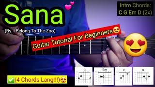 Sana - I Belong To The Zoo (Super Easy Chords) | 4 Chords Only!!!