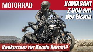 Kawasaki Z 900 (SE) 2025: Facelift und Neuerungen im Detail | Konkurrenz zur Honda CB 1000 Hornet?