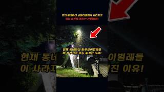 현재 동네마다 여름철 날파리 벌레들이 사라지고 있는 숨겨진 이유!!~방법이 기똥차네!!