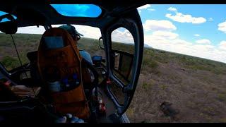 Speared Elephant Treated | Sheldrick Trust