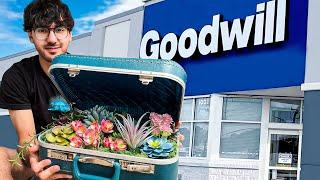 I Started A $100 Goodwill Business