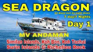 Day 1: Koh Bon & Koh Tachai - Sea Dragon- MV Andaman Liveaboard -  Andaman Sea - Scuba Diving