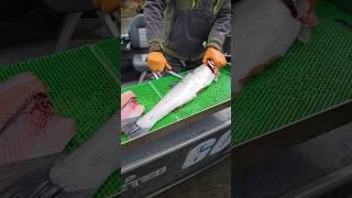 How To Fillet A Fish In Under 60 Seconds!