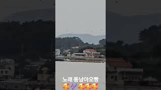 #선유도사랑