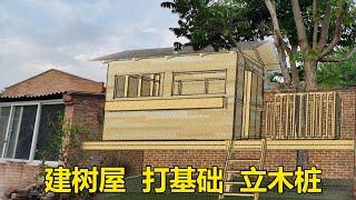 一起带娃儿 建树屋 挖基础 立木桩/ build the tree house, dig the foundation, and erect the stake