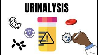 Urinalysis Interpretation QUICK and EASY