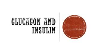 Glucagon and Insulin