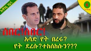 Alemneh Wasse ሰበር!!#አሳድ የት በረሩ?የት ደረሱ?ተከሰከሱን????