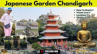 Japanese Garden Chandigarh | Japani Garden Chandigarh | Japanese Park Chandigarh | Angel Sharma Vlog