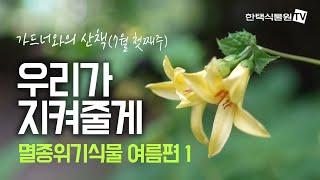 [가드너와의 산책] 우리가 지켜줄게 환경부 지정 멸종위기 식물 여름편01