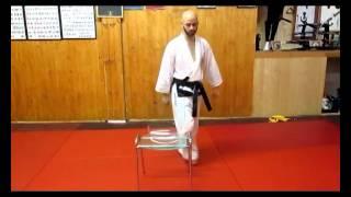 leg training