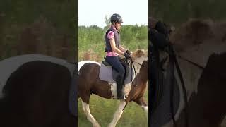 Avond BUITENRIT op PAARD DIESEL in het BUYTENPARK van Zoetermeer vanuit Manege VOORWEG  #shorts