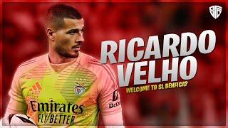 Ricardo Velho - Welcome to SL Benfica? | 2024