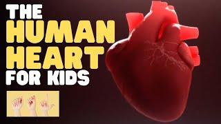 ASL The Human Heart for Kids