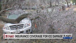 Does auto insurance pay for damage caused by a fallen branch?