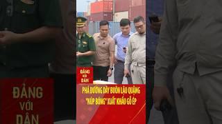 Phá đường dây buôn lậu quặng "núp bóng" xuất khẩu gỗ ép | Đảng với Dân #shorts