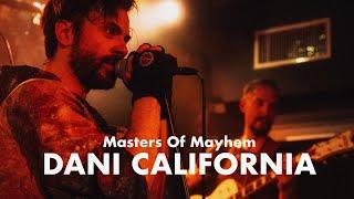 Dani California - Masters of Mayhem | Red Hot Chili Peppers Tribute (LIVE)