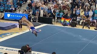 Alex Irvine Floor Exhibition 9.800