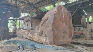 Selected trembesi fiber texture at the sawmill for office desks ordered by buyers from Texas