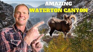 Things to do in Littleton Colorado| Check out Waterton Canyon|Living in Littleton Colorado