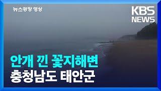 [뉴스광장 영상] 안개 낀 꽃지해변 / KBS  2023.05.18.