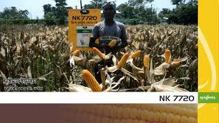 syngenta NK 7720 testimonials Video