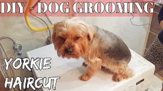 DIY - How to Groom A Yorkshire Terrier "Yorkie" puppy Dog Haircut at home