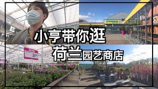 【小亨园艺】荷兰园艺商店，Garden Centre. 春天到了，小亨带你逛逛荷兰的园艺商店，看看都有些什么植物？