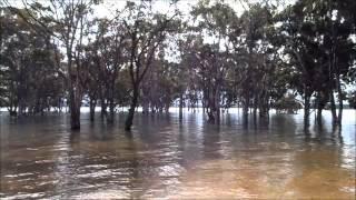 Swimming in Lake Glenmaggie on the Macalister River, Gippsland, Victoria